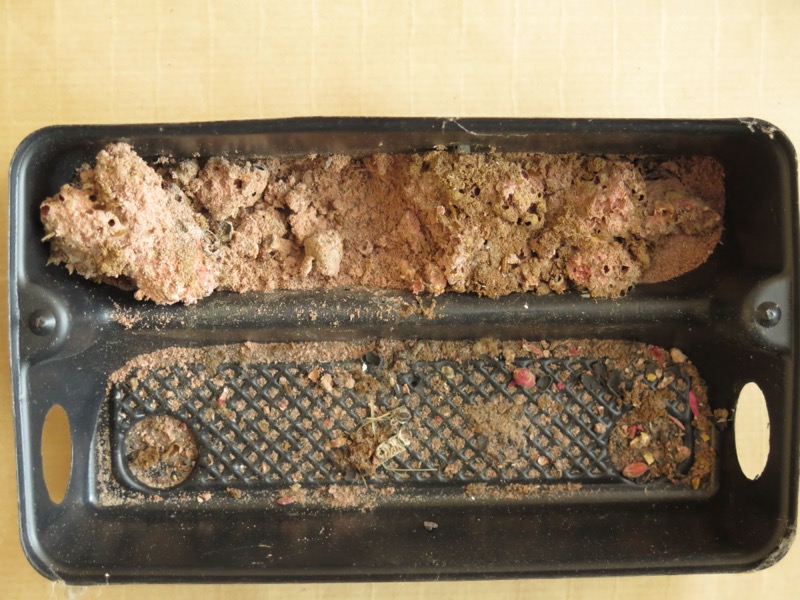 Shnilá a rozložená rodenticidní nástraha