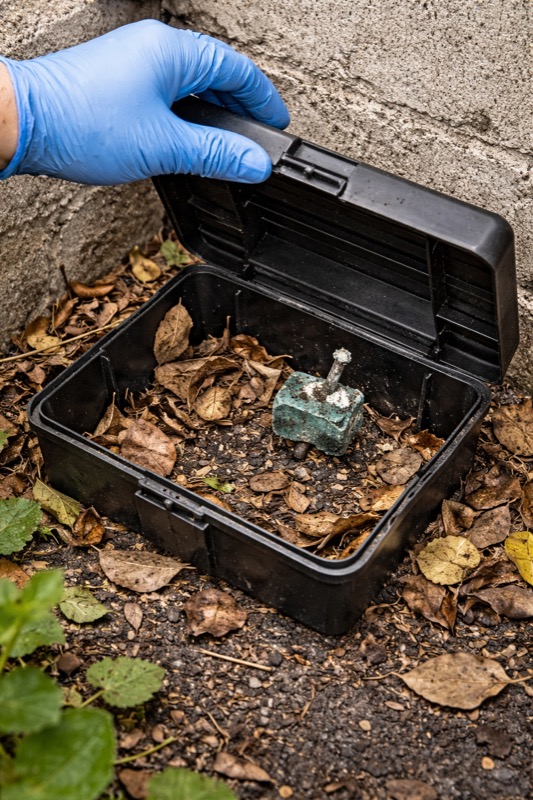 Zanedbaná deratizační stanička plná listí a plísně